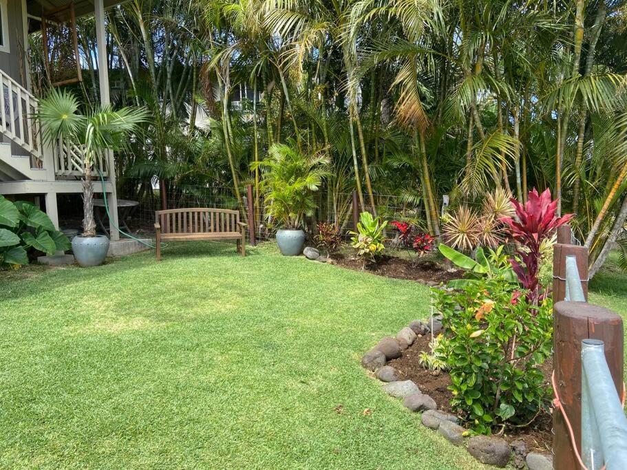 Private Ohana On The Lush Hamakua Coast With Ac Honokaa Esterno foto