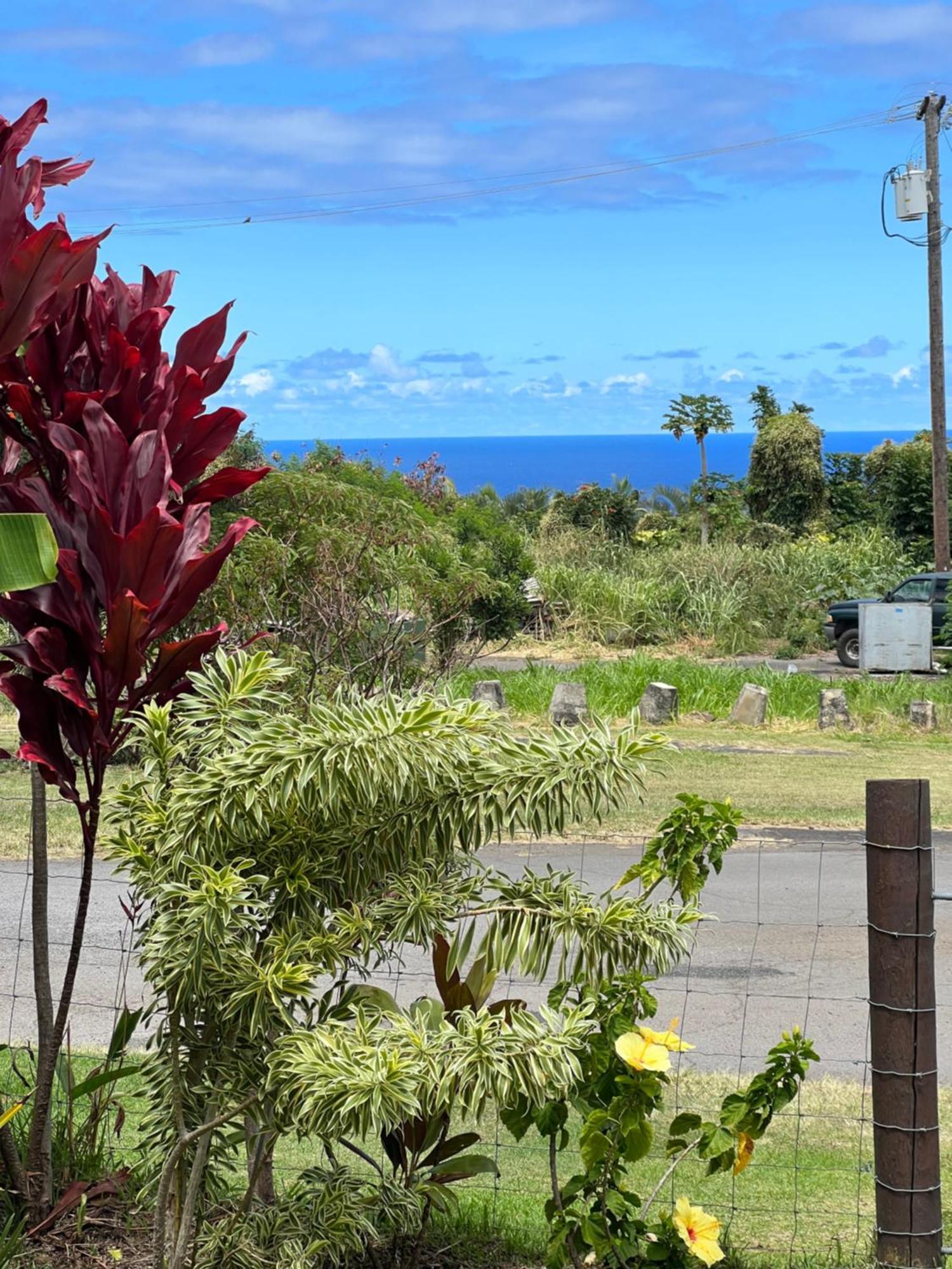 Private Ohana On The Lush Hamakua Coast With Ac Honokaa Esterno foto