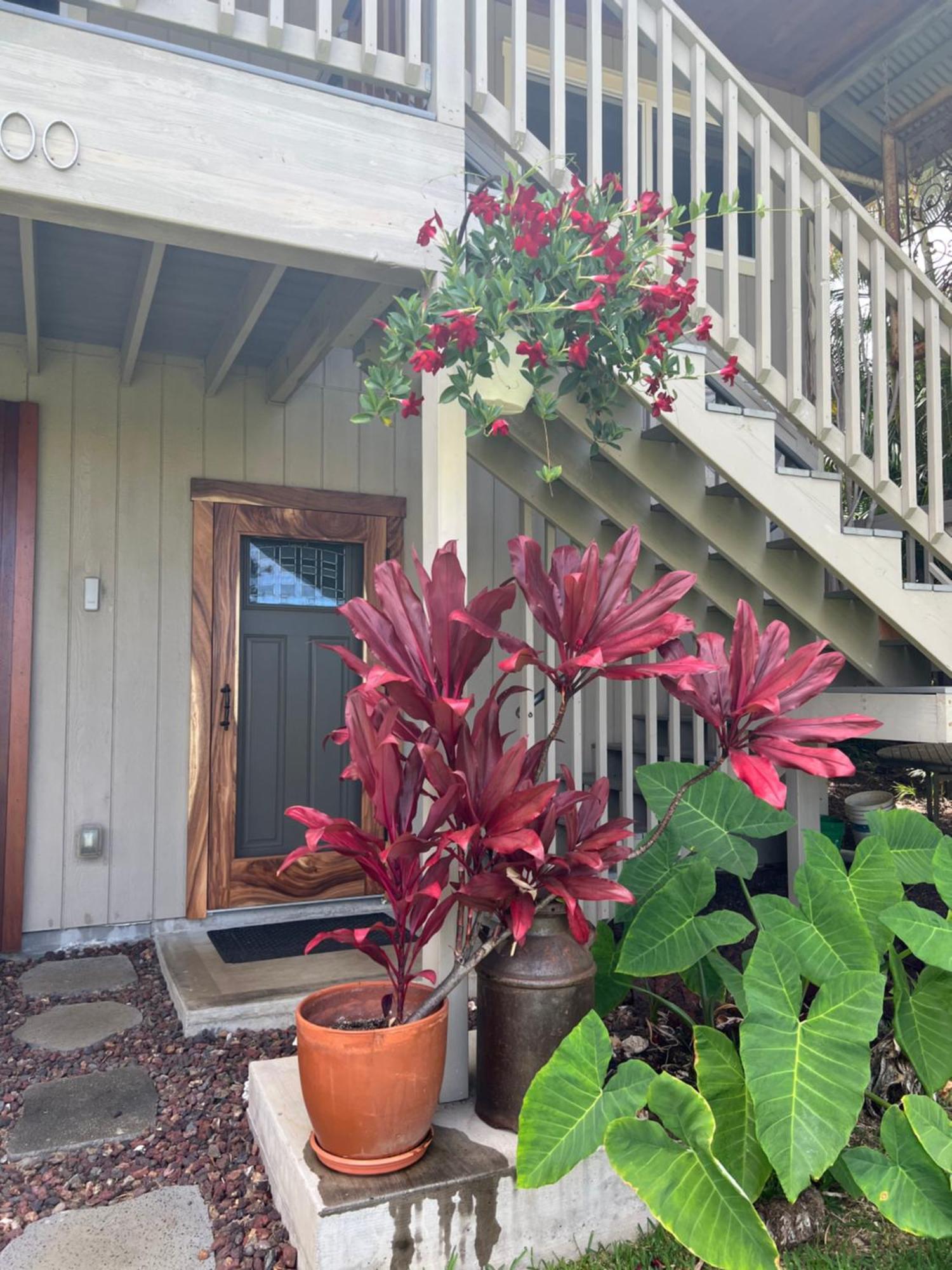 Private Ohana On The Lush Hamakua Coast With Ac Honokaa Esterno foto