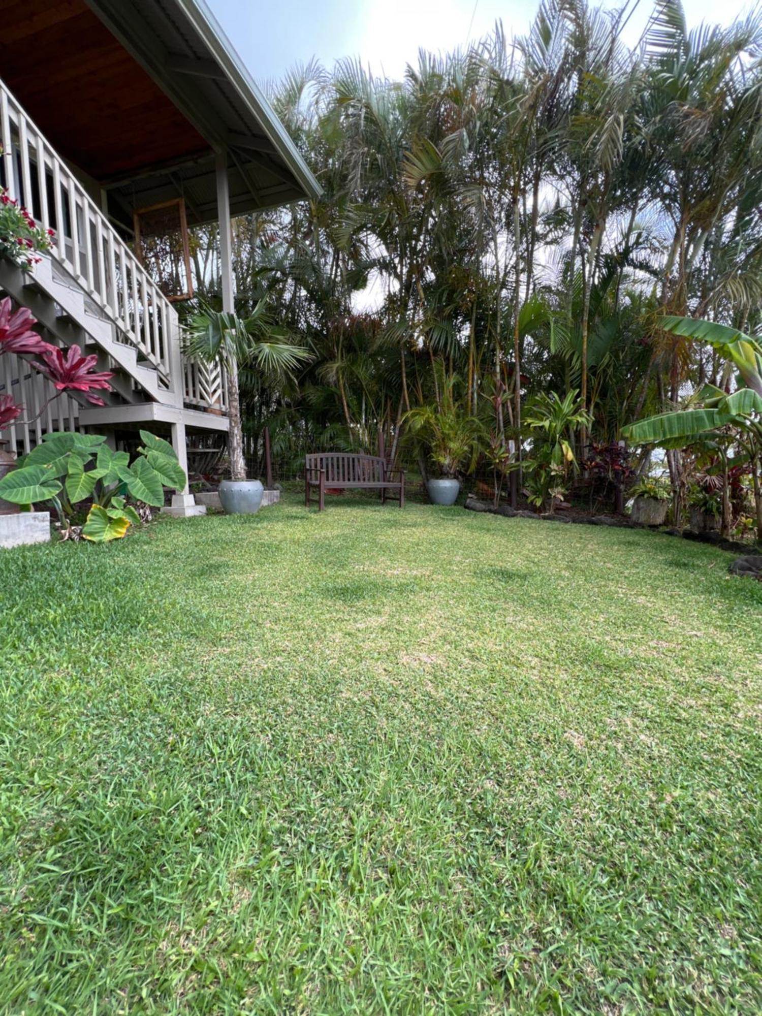 Private Ohana On The Lush Hamakua Coast With Ac Honokaa Esterno foto